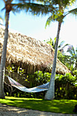 Hawaii, Big Island, Kona Coast, Kona Village Resort, hammock hanging between palm trees.