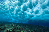 Hawaii, Underwater view of wave breaking over shallow reef.