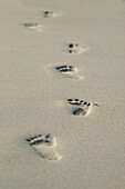 Thailand, Phuket, Close-up of footprints along the seashore.