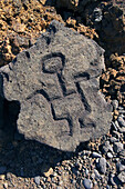 Hawaii, Big Island, Puako petroglyphs, closeup of man on single rock