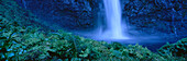 Hawaii, Kauai, Inland waterfall near Na Pali coast blue filter, panoramic A20G