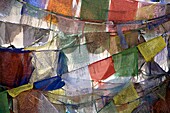 'Rows Of Prayer Flags, Chemray Village, Leh, Ladakh, Jammu And Kashmir, India'
