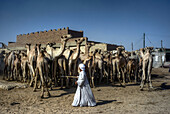 Egypt, Birqash Camel Market, Souq al-Gamaal