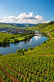 Germany ,Moseltal ,  Mosel Valley , Trittenheim City, Mose River, vinyards