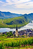Germany , Moseltal , Mosel Valley Bremm City