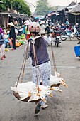Vietnam,Hoi An,The Old Town,Woman Carrying Ducks to Market