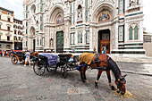 Horse-drawn carriage in front of the Cathedral Santa Maria del Fiore, Florence, Tuscany, Italy, Europe