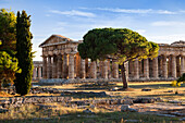 Poseidon Temple, Neptune Temple, historic town of Paestum in the Gulf of Salerno, Capaccio, Campania, Italy, Europe