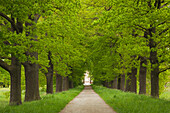 Alley of oak trees, Nordkirchen castle, Munsterland, North Rhine-Westphalia, Germany