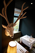 Deer antler on the wall of the dining room, Hotel Haus Hirt, Bad Gastein, St. Johann im Pongau, Salzburg, Austria