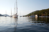 Blick auf die Bucht mit Segelbooten von Sipanska Luka, Insel Sipan, Elaphiten-Archipel, nordwestlich Dubrovnik, Kroatien