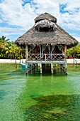 Bastimentos island, Bocas del Toro province, Caribbean sea, Panama.