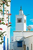 Mosque, Village of Sidi Bou Said near Tunis  Tunisia.