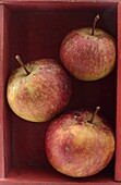 Three red apples stacked in a wooden box.