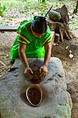 Making chocolat, Oreba organic cacao, Oeste Arriba River, Ngabe Ethnic Group, Bocas del Toro Province, Panama, Central America, America