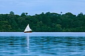 Traditional boat, Bastimentos Island, Bocas del Toro Archipelago, Bocas del Toro Province, Panama, Central America, America