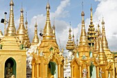 The Shwedagon Pagoda officially titled Shwedagon Zedi Daw also known as the Great Dagon Pagoda and the Golden Pagoda, is a 99 metres  325 ft  gilded pagoda and stupa  It is the most sacred Buddhist pagoda for the Burmese with relics of the past four Buddh