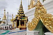 The Shwedagon Pagoda officially titled Shwedagon Zedi Daw also known as the Great Dagon Pagoda and the Golden Pagoda, is a 99 metres  325 ft  gilded pagoda and stupa  It is the most sacred Buddhist pagoda for the Burmese with relics of the past four Buddh