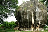 Giant lions  The Mingun temple is a monumental uncompleted stupa began by King Bodawpaya in 1790  It was not completed, due to an astrologer claiming that, once the temple was finished, the king would die  The completed stupa would have been the largest i