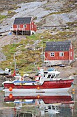 Greenland, Baffin Bay, Tasiusaq, The harbour