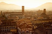 Cityscape of Lucca from Guinigi Tower, Lucca, Tuscany, Italy