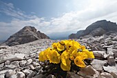 Hiking on the high route 2 in the Dolomites, Alps, Italy, Europe