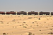 The world´s longest train carrying iron ore and improvised passengers  Nouadhibou, Mauritania