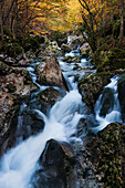 Idyllischer Flusslauf der Lepenjica, einem Zufluss der Soca, durch die unberührten Wälder im Triglav Nationalpark, Gorenjska, Slowenien