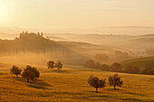 Typical tuscan landscape with hillls, country house and cypresses, near San Quirico d´Orcia, Val d'Orcia, Orcia valley, UNESCO World Heritage Site, Province of Siena, Tuscany, Italy, Europe