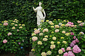 Hortensien, Blumen und Skulptur im Barockgarten, Palazzo Pfanner, Palast, Altstadt von Lucca, UNESCO Weltkulturerbe, Lucca, Toskana, Italien, Europa