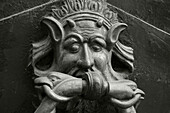 Doorknocker, Siena, UNESCO World Heritage Site, Tuscany, Italy, Europe