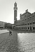 Piazza del Campo, Il Campo, Torre del Mangia, tower, Palazzo Pubblico, town hall, Siena, UNESCO World Heritage Site, Tuscany, Italy, Europe