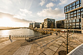 Moderne Architektur am Kaiserkai, Grasbrookhafen, Hafencity, Hamburg, Deutschland