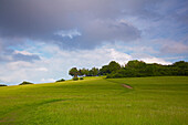 Landschaft am Korn-Berg bei Donsbach, Rothaarsteig, Westerwald, Hessen, Deutschland, Europa