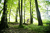 Mann bei einer Cyclocross-Tour im Herbst, Oberambach, Münsing, Bayern, Deutschland