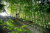 Man cyclocross touring in autumn, Oberambach, Munsing, Bavaria, Germany