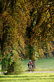 Man cyclocross touring in autumn, Degerndorf, Munsing, Bavaria, Germany