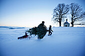 Vater mit zwei Kindern trägt Weihnachtsbaum durch Schnee, Degerndorf, Münsing, Oberbayern, Deutschland