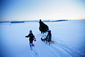 Vater mit zwei Kindern trägt Weihnachtsbaum durch Schnee, Degerndorf, Münsing, Oberbayern, Deutschland