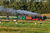 Old steam train, Rasender Roland near Binz, Ruegen, Mecklenburg-Western Pomerania, Germany