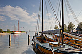 Althagen harbour with sailing boat, Zeesenboot, Ahrenshoop, Barther Bodden, Mecklenburg-Western Pomerania, Germany