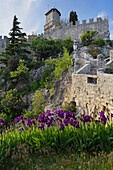 Irises in front of the fortress of La Guaita, Monte Titano Republic of San Marino