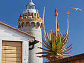 Lighthouse at Fort Stella with a seagull and a palmtree blossom, Portoferraio, Elba Island, Tuscany, Italy