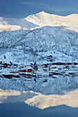 Sildpollneset harbour, Vestpollen, Austnesfjorden, Austvagoya, Lofoten, Nordland, Norway