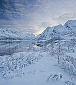 Snowy landcape near Sildpollneset, Vestpollen, Rorhoptindan, Austnesfjorden, Austvagoya, Lofoten, Nordland, Norway