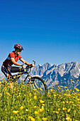 Female mountain biker on Planai, Dachstein mountains in background, Schladminger Tauern, Styria, Austria