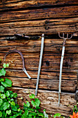 Old garden tools on a wooden wall, Styria, Austria