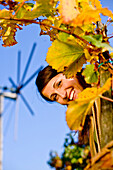 Young woman between grapevines, klopotec in background, Styria, Austria