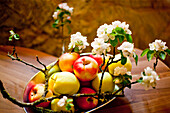 A bohl with apples, Stubenberg, Styria, Austria