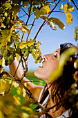 Junge Frau isst Weintrauben von einer Weinrebe, Steiermark, Österreich